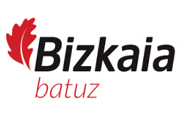 TicketBAI Bizkaia